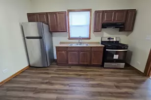 10653 S Mackinaw Ave, Chicago, IL 60617 - Photo 7