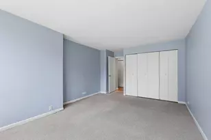 222 E Pearson St, Chicago, IL 60611 - Photo 15