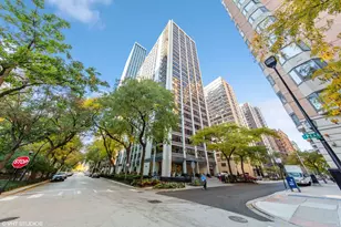 222 E Pearson St, Chicago, IL 60611 - Photo 1