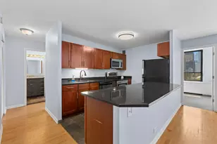 222 E Pearson St, Chicago, IL 60611 - Photo 9