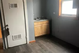 5338 S Wood St, Chicago, IL 60609 - Photo 15