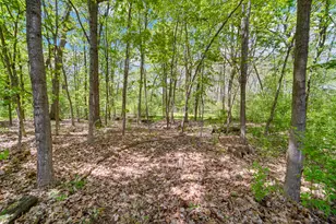 27250 N Meadowoods Ln, Mettawa, IL 60048 - Photo 75