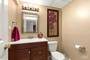 16747 Winding Creek Rd, Plainfield, IL 60586 - Photo 31