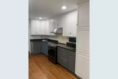 427 S Western Avenue, Park Ridge, IL 60068 - Photo 3