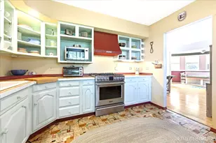 3728 Cuyler Ave, Berwyn, IL 60402 - Photo 19