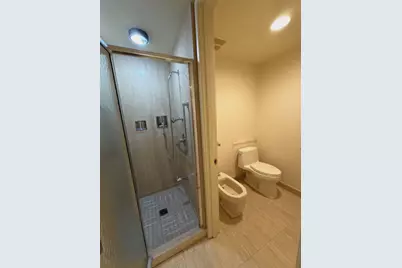 180 E Pearson Street #4202, Chicago, IL 60611 - Photo 15