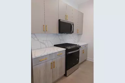 4625 S Michigan Avenue #3, Chicago, IL 60653 - Photo 5