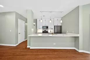 1151 W Washington Blvd, Chicago, IL 60607 - Photo 27