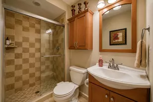 12152 Forest View Dr, Orland Park, IL 60467 - Photo 13