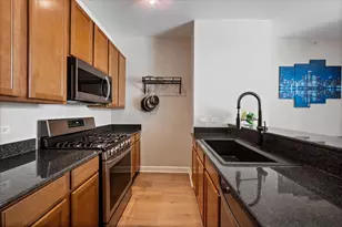 233 E 13th St, Chicago, IL 60605 - Photo 9