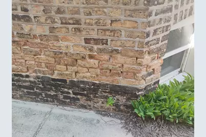 2441 N Hamlin Avenue, Chicago, IL 60647 - Photo 39