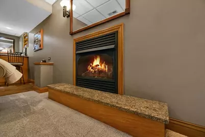 1252 Walsh Drive, Yorkville, IL 60560 - Photo 29