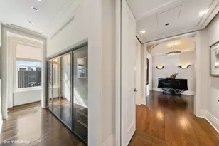 159 E Walton Pl, Chicago, IL 60611 - Photo 43