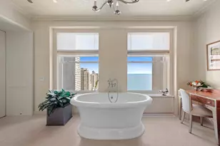 159 E Walton Pl, Chicago, IL 60611 - Photo 37