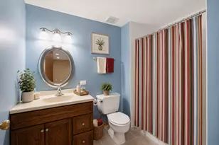 10851 White Deer Cir, Orland Park, IL 60467 - Photo 29