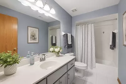 10851 White Deer Circle, Orland Park, IL 60467 - Photo 17