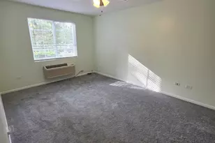 101 Silverstone Dr, Carpentersville, IL 60110 - Photo 15