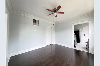 8856 S Lowe Avenue #2R, Chicago, IL 60620 - Photo 5