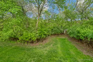 655 Oakview Dr, Algonquin, IL 60102 - Photo 41