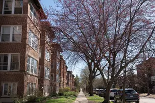 1260 W Columbia Ave, Chicago, IL 60626 - Photo 3