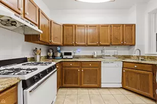 1233 E 53rd St, Chicago, IL 60615 - Photo 15