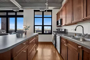 811 W 15th Pl, Chicago, IL 60608 - Photo 9