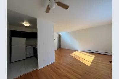 516 W Melrose Street #506, Chicago, IL 60657 - Photo 5
