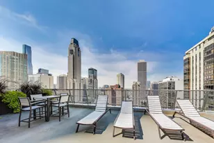 1000 N Lake Shore Dr, Chicago, IL 60611 - Photo 21
