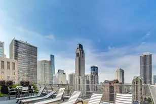1000 N Lake Shore Dr, Chicago, IL 60611 - Photo 23