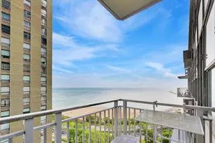 1000 N Lake Shore Dr, Chicago, IL 60611 - Photo 25