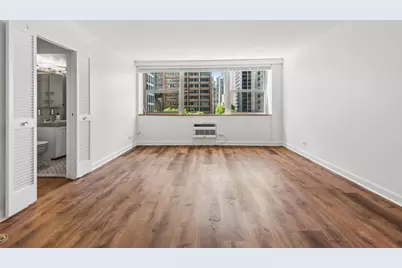 253 E Delaware Place #7H, Chicago, IL 60611 - Photo 3