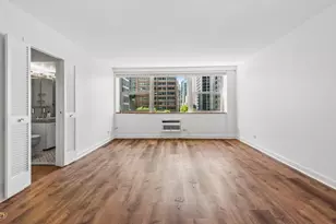 253 E Delaware Pl, Chicago, IL 60611 - Photo 3