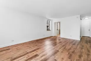 253 E Delaware Pl, Chicago, IL 60611 - Photo 5