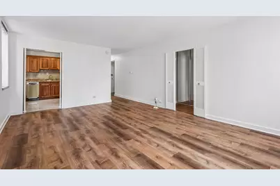 253 E Delaware Place #7H, Chicago, IL 60611 - Photo 7