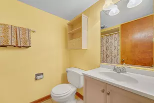 20124 Dolphin Ave, Lynwood, IL 60411 - Photo 19