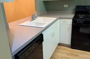 727 S Ashland Ave, Chicago, IL 60607 - Photo 7