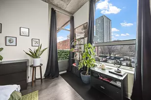 50 E 16th St, Chicago, IL 60616 - Photo 9