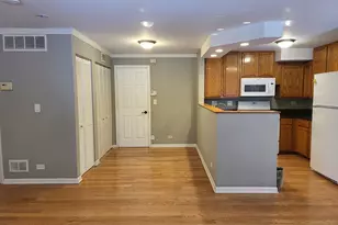 2403 W Flournoy St, Chicago, IL 60612 - Photo 3