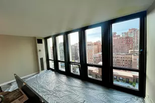 1 E Scott St, Chicago, IL 60610 - Photo 11