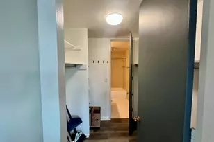 1 E Scott St, Chicago, IL 60610 - Photo 17