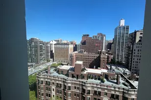 1 E Scott St, Chicago, IL 60610 - Photo 15