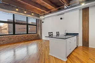 1040 W Adams St, Chicago, IL 60607 - Photo 5