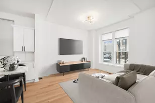 1041 S Oakley Blvd, Chicago, IL 60612 - Photo 3