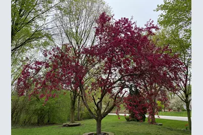 5544 Oak Grove Drive, Long Grove, IL 60047 - Photo 63