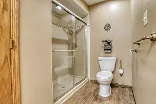 18013 Alice Ln, Orland Park, IL 60467 - Photo 19