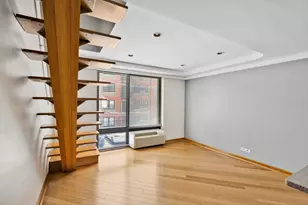 1221 N Dearborn St, Chicago, IL 60610 - Photo 7