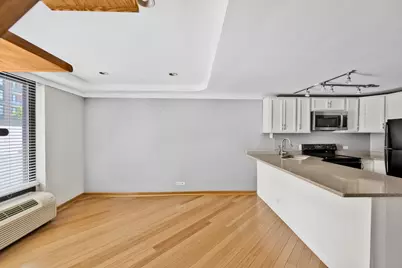 1221 N Dearborn Street #206S, Chicago, IL 60610 - Photo 5