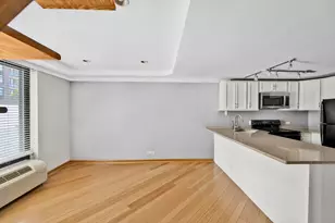 1221 N Dearborn St, Chicago, IL 60610 - Photo 5