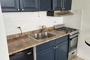 7234 W North Ave, Elmwood Park, IL 60707 - Photo 5