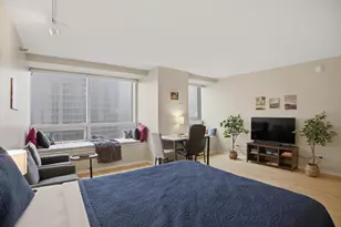 512 N McClurg Ct, Chicago, IL 60611 - Photo 7